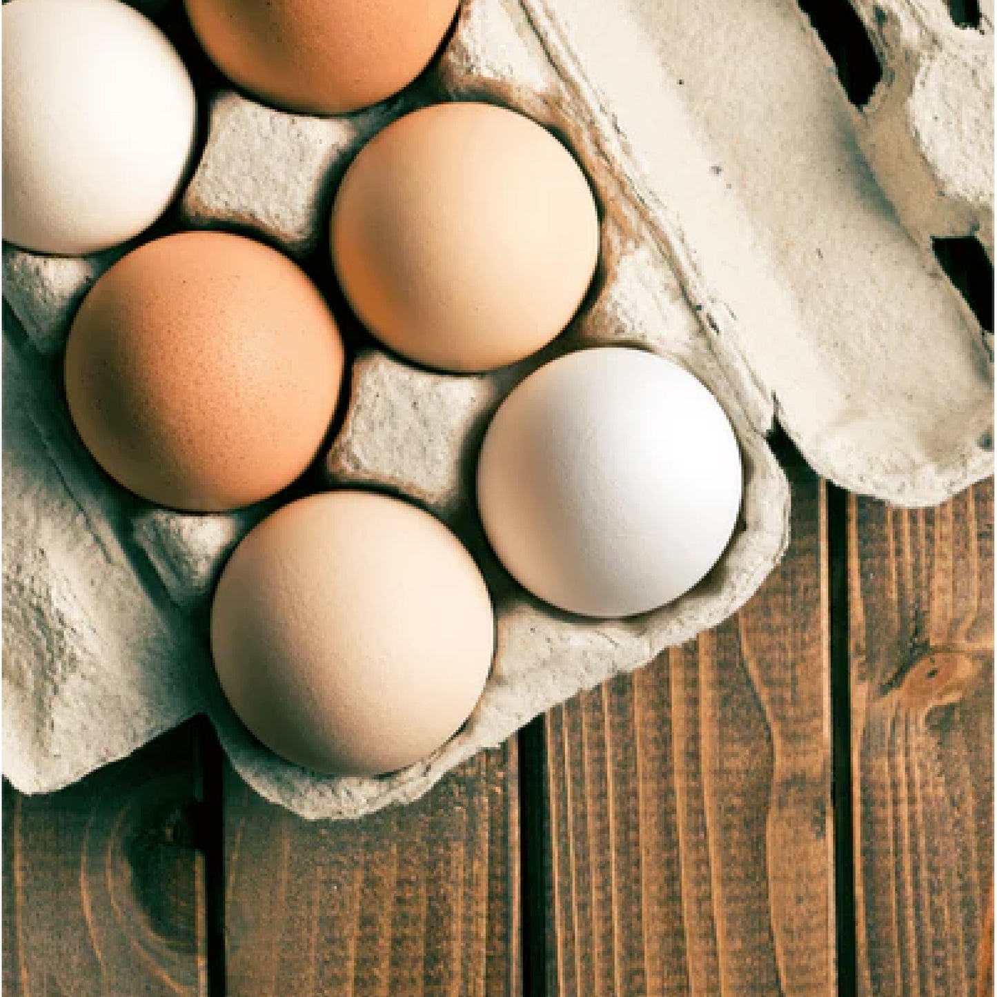 CHICKEN EGGS - 2 DOZEN