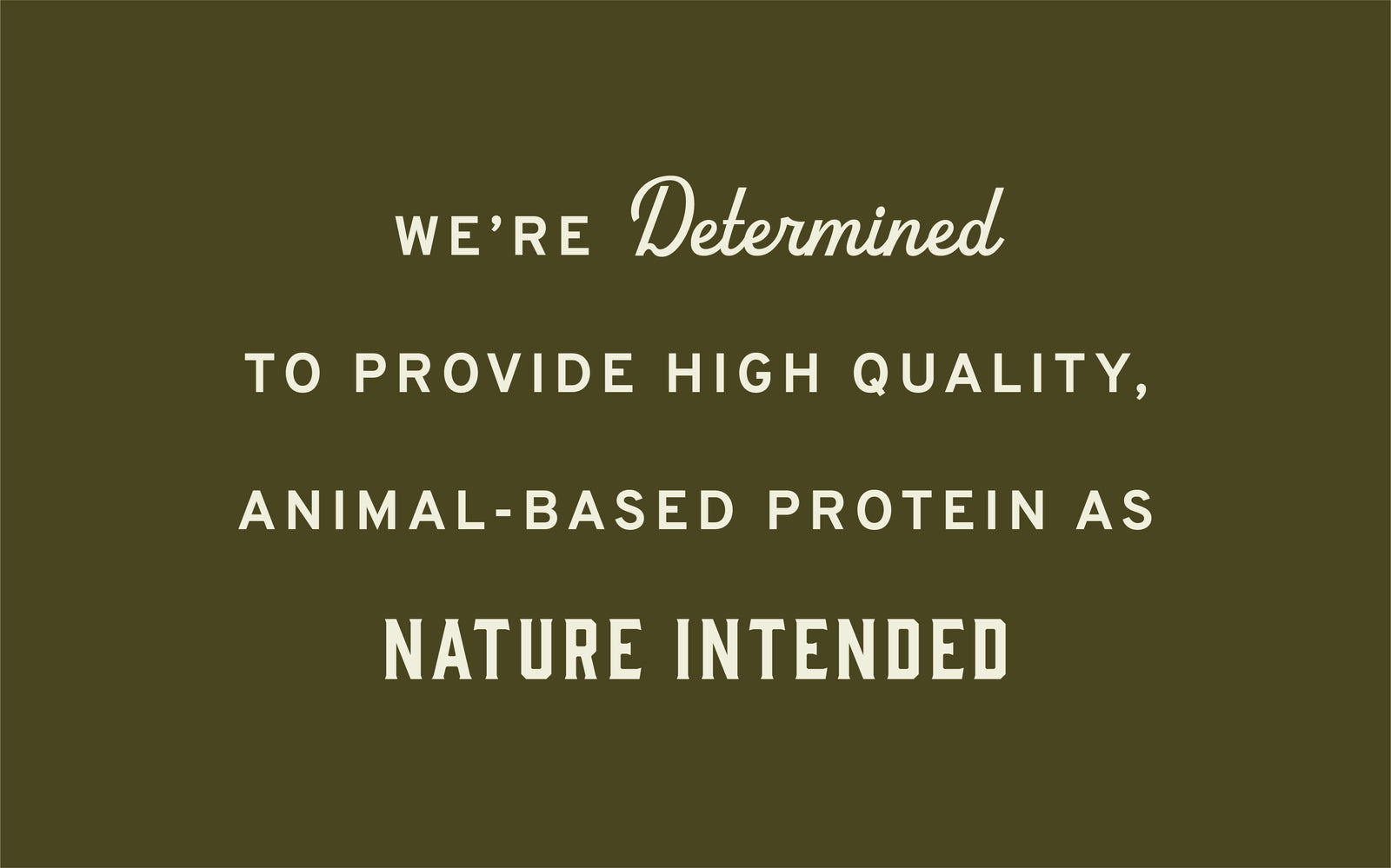 Rise & Shine Farm photo 6